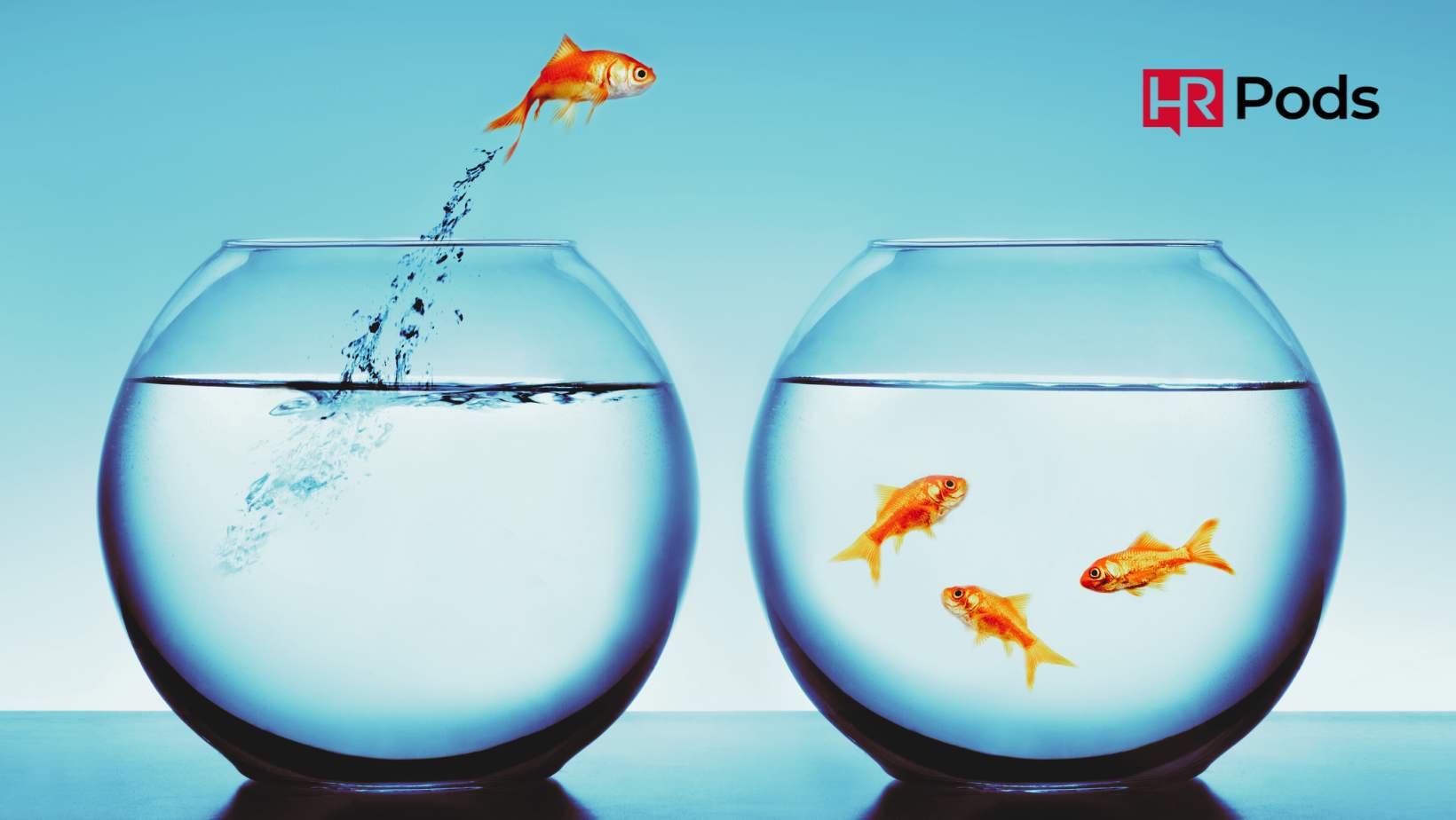 Office frogging HRPods